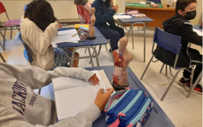 so arbeiten wir in DFU Biologie!