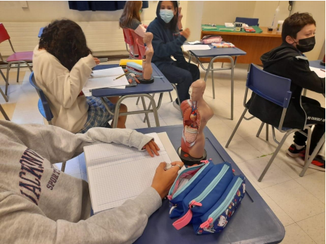 so arbeiten wir in DFU Biologie!