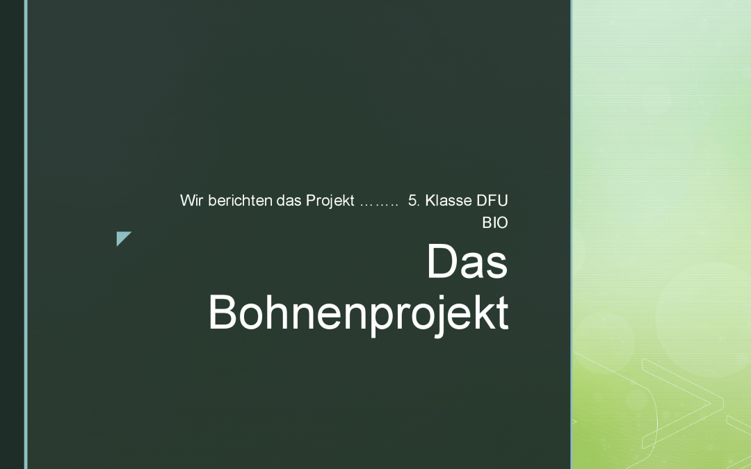 Das Bohnenprojekt