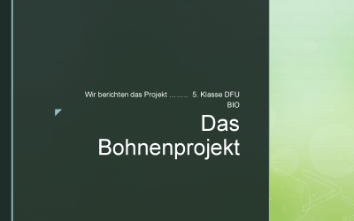 Das Bohnenprojekt