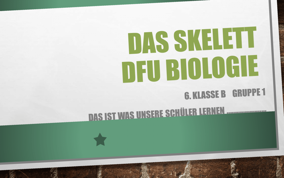 Das skelett dfu biologie