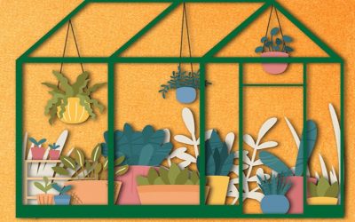 5to Taller de Educación Ambiental en Casa