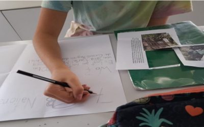 DFU Biologie 5. Klasse