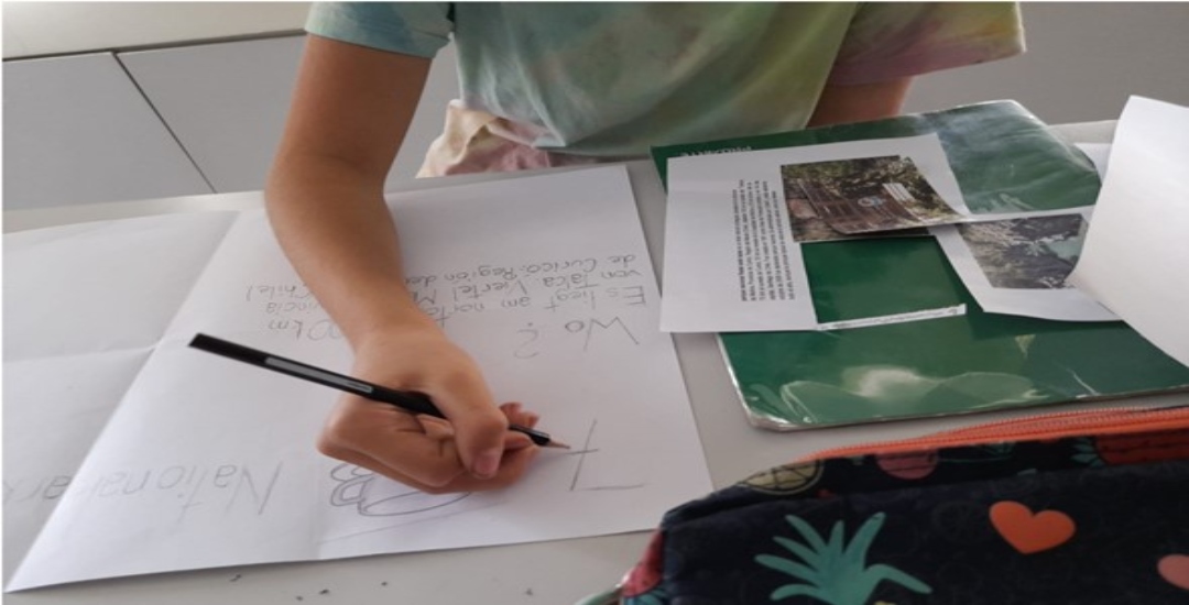 DFU Biologie 5. Klasse